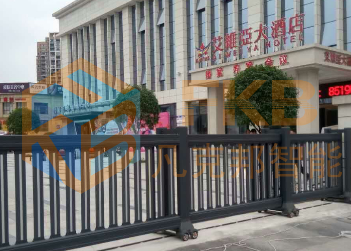 艾維亞大酒店